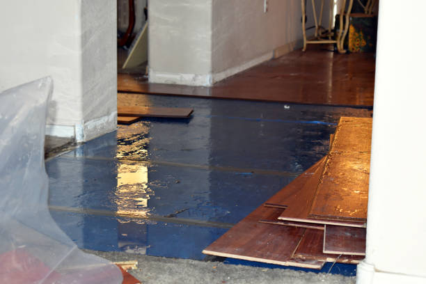 Professional Emergency Water Damage Restoration technician working in Valencia, PA